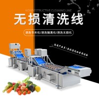 葉菜類無損清洗線 果蔬清洗加工設(shè)備 韭菜白菜洗滌機器