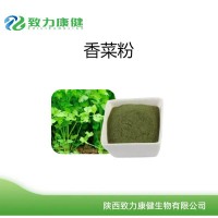 廠家供應脫水香菜粉調味香菜粉香菜粉脫水香菜