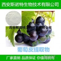 葡萄皮提取物 水溶性白藜蘆醇 10% 紅酒原料