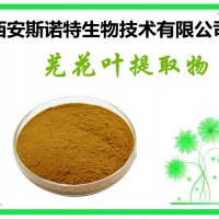 芫花葉提取物 芫花葉皂甙 芫花葉粉 斯諾特