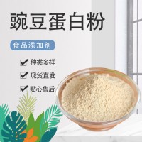 東方 豌豆蛋白 食品級高純 含量99% 營養強化劑