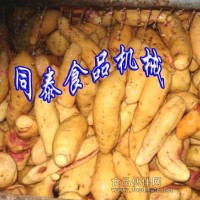洗番薯機(jī)，紅薯片紅薯條加工設(shè)備