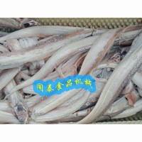 小型全自動帶魚去魚鱗清洗機帶魚罐頭加工清洗設備