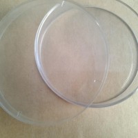 抗生素效價測定用培養皿