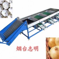 志明牌ZM-QXJ-GJ型自動(dòng)果蔬清洗打蠟調(diào)速滾筒選果機(jī)