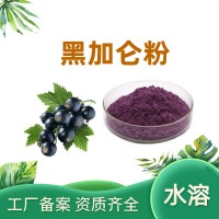黑加侖粉 黑加侖提取物 6.7倍濃縮水果粉