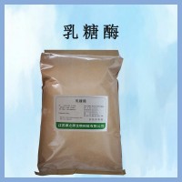 乳糖酶 食品級(jí) 酶制劑 烘焙 嬰兒乳品改良乳 糖不耐受