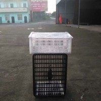 一次性塑料筐，一次性水果筐，一次性周轉(zhuǎn)筐，塑膠筐