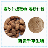 春砂仁提取物 供應(yīng)植物提取物春砂仁粉砂春仁萃取原液