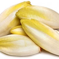 菊苣濃縮粉