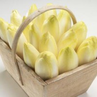 菊苣肽