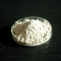 酶解大米粉 米乳粉 飲品