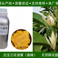 白玉蘭花浸膏（香精）白玉蘭花提取 源頭產地供應