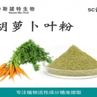 胡蘿卜葉粉 胡蘿卜葉提取物 工廠大量現貨