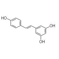 白藜蘆醇  501-36-0