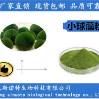 破壁小球藻粉 蛋白質60% 蛋白核小球藻廠家