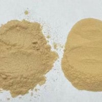 菊苣提取物供應(yīng)  菊苣提取物廠家