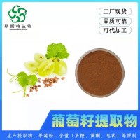 葡萄籽提取物 熬煮濃縮 葡萄籽原花青素