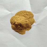 杏鮑菇提取物