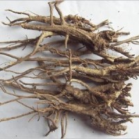 柴胡提取物 柴胡皂苷濃縮粉
