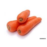 胡蘿卜提取物，紅蘿卜提取物，黃蘿卜提取物