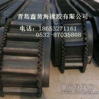 大傾角擋邊輸送帶、波狀擋邊輸送帶廠家