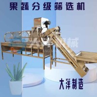 全自動土豆分級機 滾筒式板栗分選設(shè)備 電動芋頭分級機