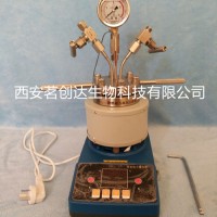 微型高壓反應(yīng)釜WCGF-100ML