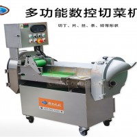 切青菜和切土豆都可以的切菜機 臺灣智能雙機頭切菜機