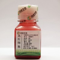 雞紅細(xì)胞