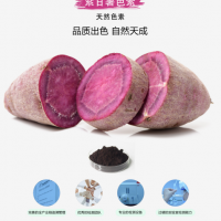 紫甘薯色素供應 食品分類號03.02靖浩生物