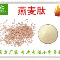 燕麥多肽 燕麥肽 燕麥蛋白肽粉 批發(fā)價(jià)格