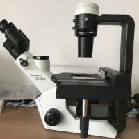 現貨CKX53奧林巴斯倒置顯微鏡