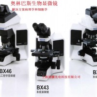 奧林巴斯正置熒光顯微鏡BX43成像系統