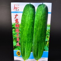廠家供應(yīng)紙袋可定制可裝蔬菜種子，水果種子的種子袋