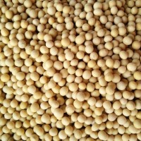 供應東北黃豆粉生粉