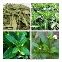 甜菊糖苷