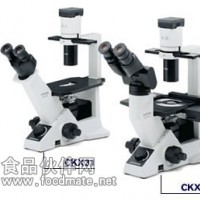 CKX53 Olympus顯微鏡現貨價格