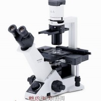 奧林巴斯顯微鏡CKX53價格
