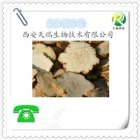 當歸提取物 當歸粉廠家供應