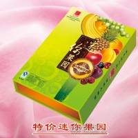 30多年經典水果月 8個