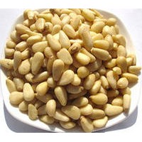 松子仁提取物