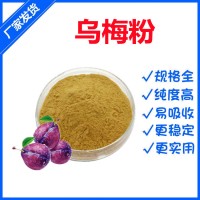 烏梅粉 水溶性烏梅濃縮粉80目 烏梅提取物