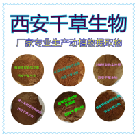 水溶性蘆筍提取物 蘆筍濃縮粉 供應提取物定做流浸膏