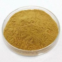 天花粉提取物 10:1純粉