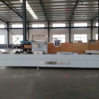 奶酪連續拉伸真空包裝機
