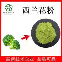西蘭花粉99% 蔬菜粉 烘焙原料粉 西藍花粉 源頭生產廠家