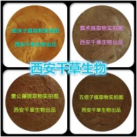 蓽澄茄提取物濃縮汁粉 供應(yīng)動(dòng)植物提取物定做濃縮浸膏顆粒