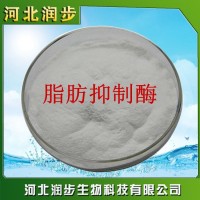 廠家直銷脂肪抑制酶使用說明報價添加量用途