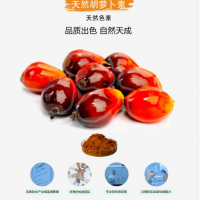 胡蘿卜素 冷凍飲品 調制乳 豆類制品 糖果 靖浩廠家 食品級